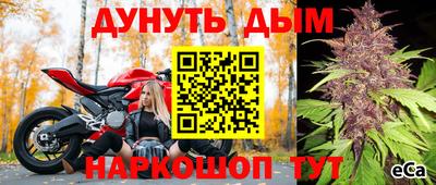 PSILOCYBIN Заволжье