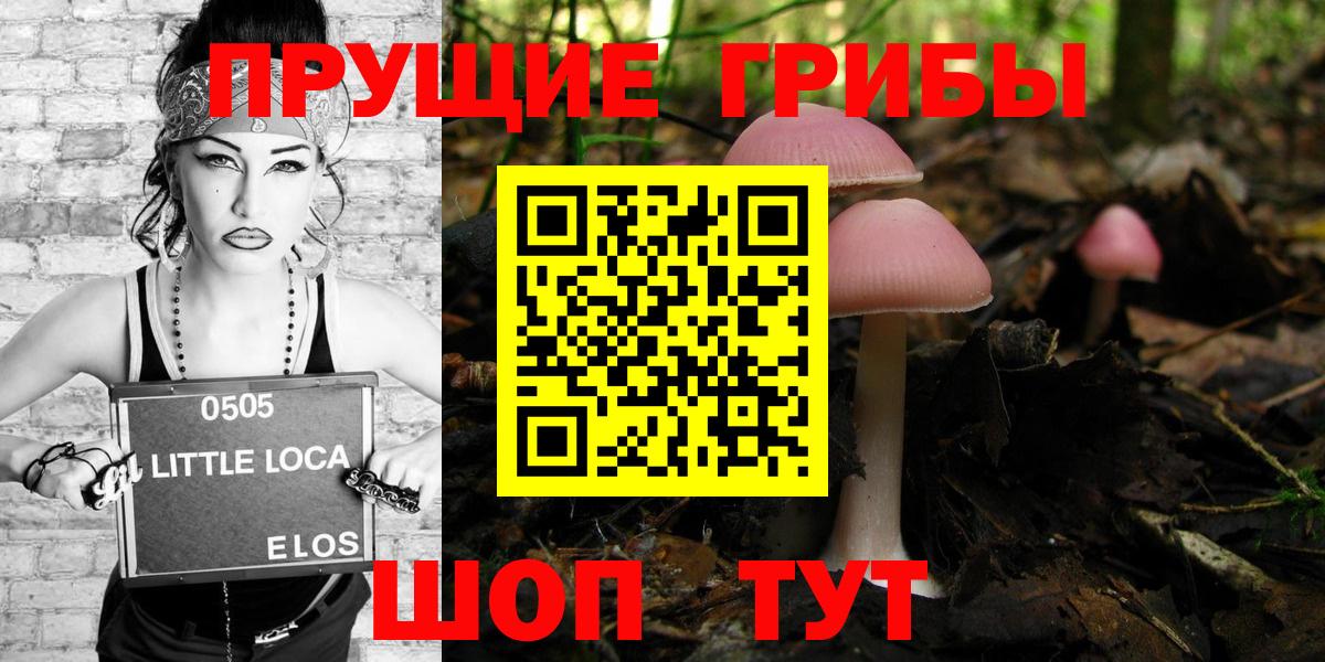Галлюциногенные грибы мухоморы  Галлюциногенные грибы мицелий  Вход с VPN  Камышин 