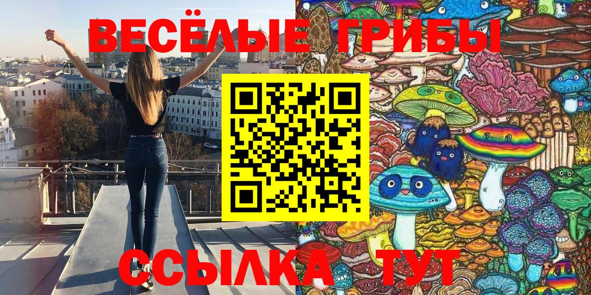 Галлюциногенные грибы MAGIC MUSHROOMS Камышин